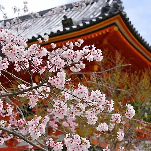 Sakura Gion North Kyoto